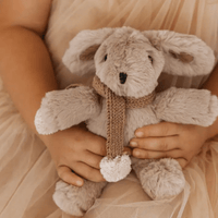 Hugh rabbit | and the little dog laughed