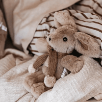 Hugh rabbit | and the little dog laughed