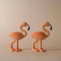 Lingo the flamingo | Lingo the Flamingo