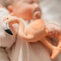 Lingo the flamingo | Lingo the Flamingo