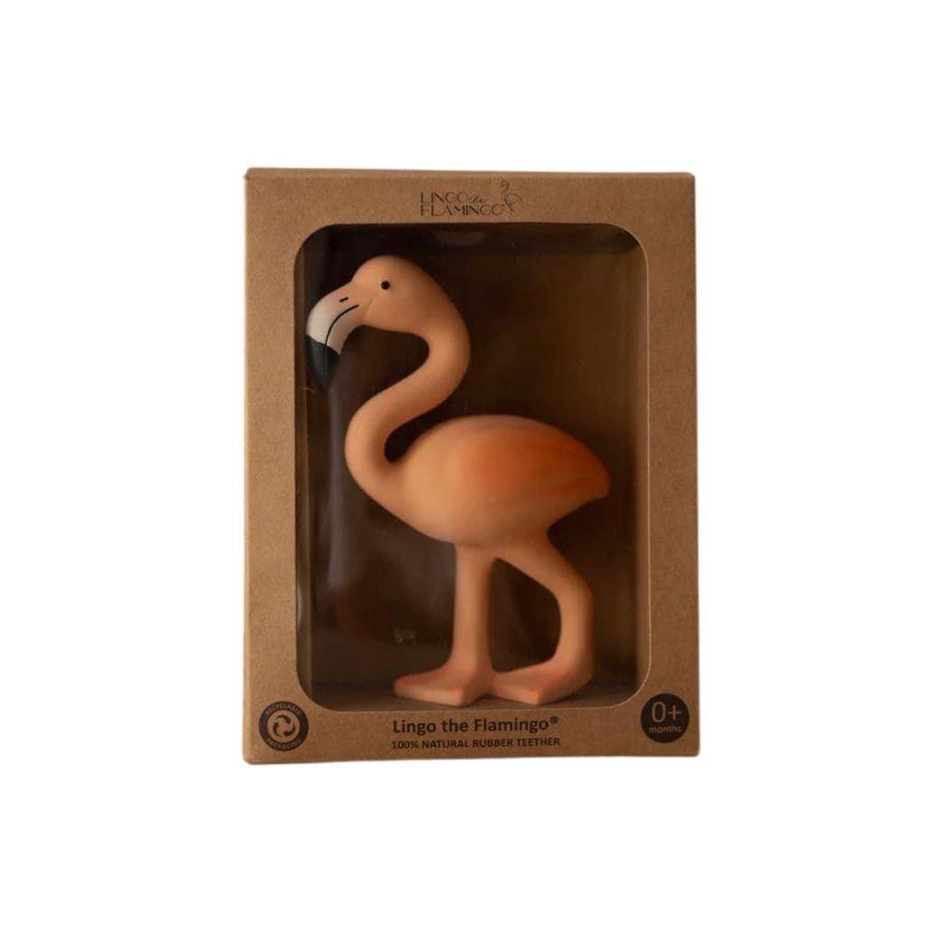 Lingo the flamingo | Lingo the Flamingo