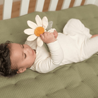 Rattle flower | Little Dutch