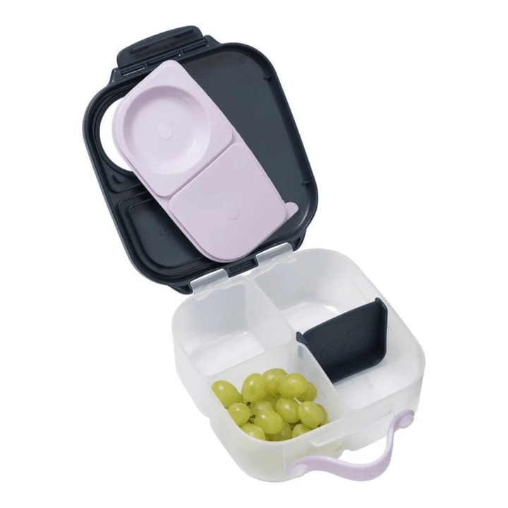 Mini lunchbox - [product_vendor}