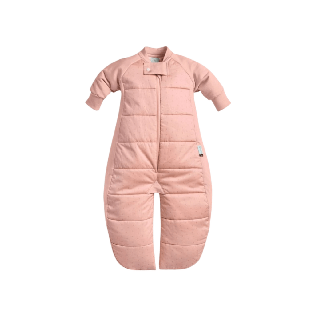 Sleep suit bag 2.5 tog - [product_vendor}