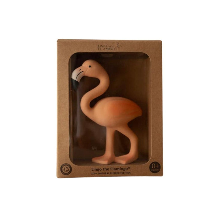 Lingo the flamingo | Lingo the Flamingo