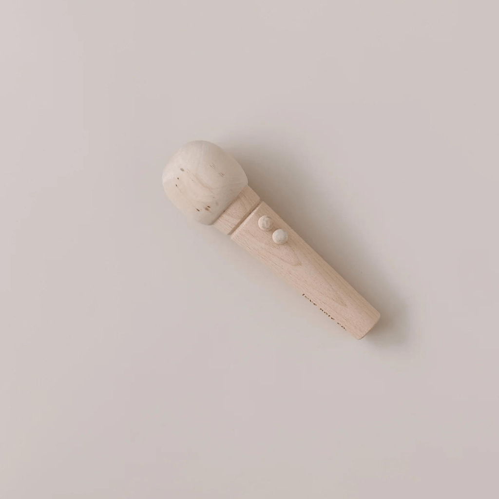 Little singer microphone | Love Note Co