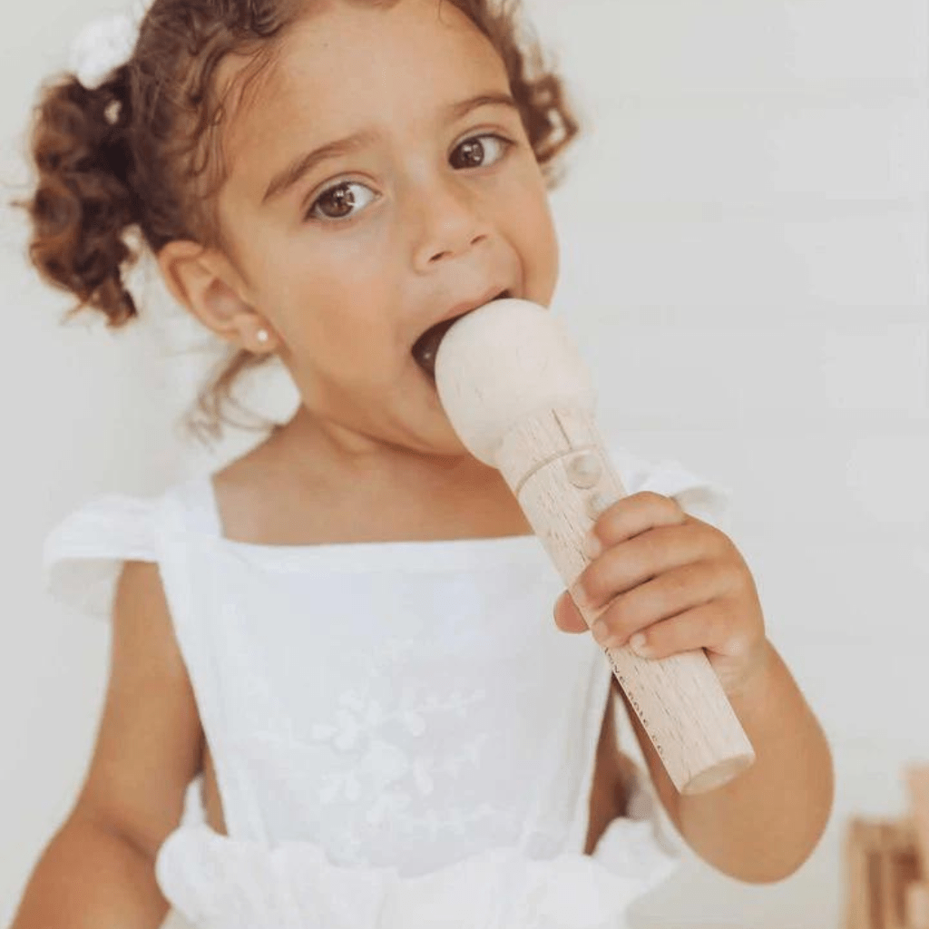 Little singer microphone | Love Note Co