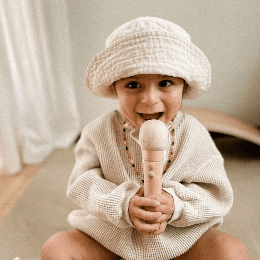 Little singer microphone | Love Note Co
