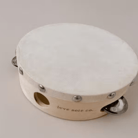 Tambourine drum