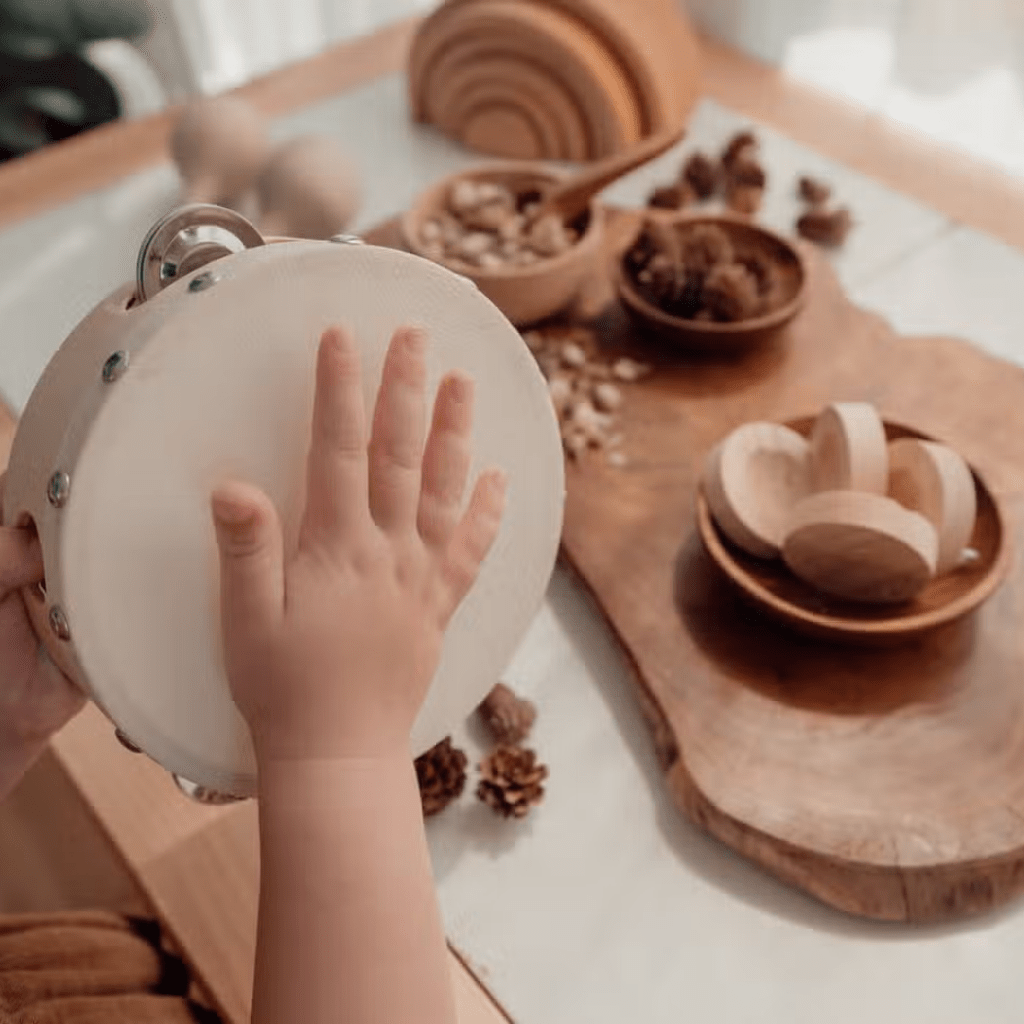 Tambourine drum