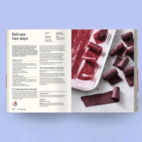 Lunch Box Bible | Julia Tellidis & Lauren Skora | Baby Food Bible