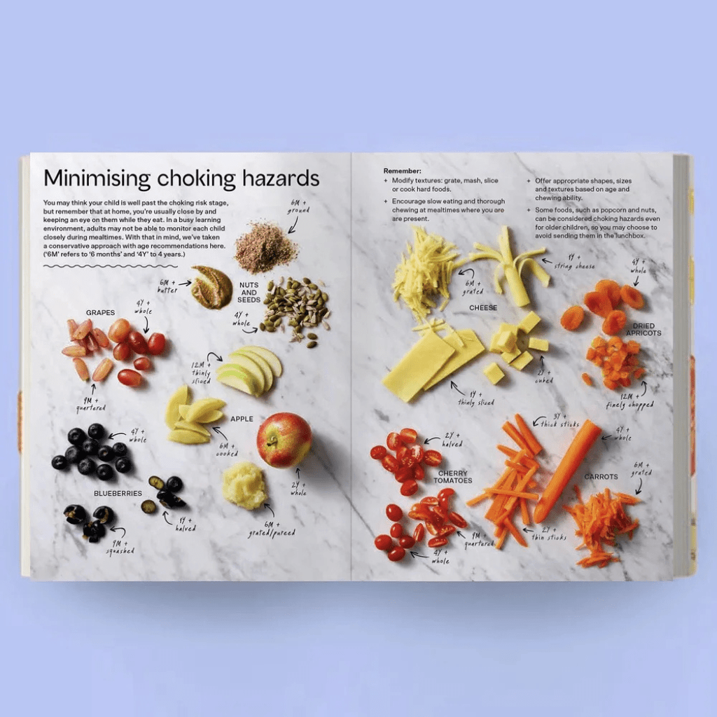 Lunch Box Bible | Julia Tellidis & Lauren Skora | Baby Food Bible