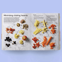 Lunch Box Bible | Julia Tellidis & Lauren Skora | Baby Food Bible