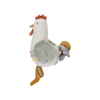 Activity chicken | Little farm